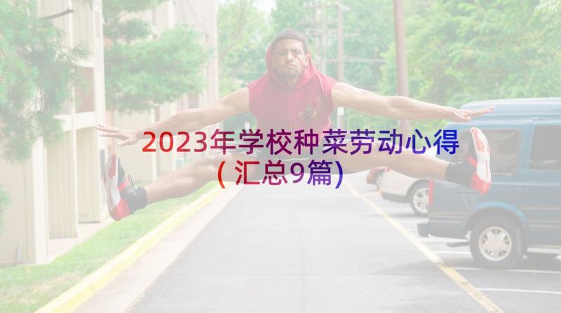 2023年学校种菜劳动心得(汇总9篇)