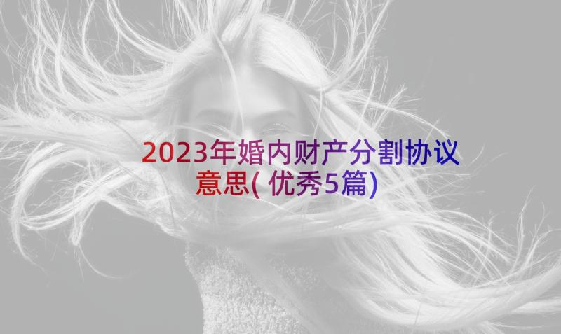 2023年婚内财产分割协议意思(优秀5篇)