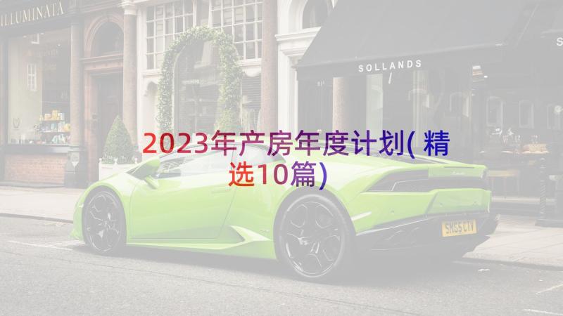 2023年产房年度计划(精选10篇)