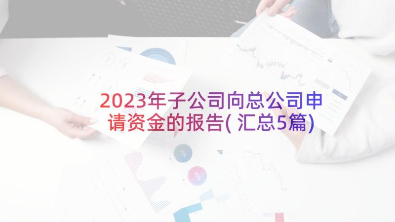 2023年子公司向总公司申请资金的报告(汇总5篇)