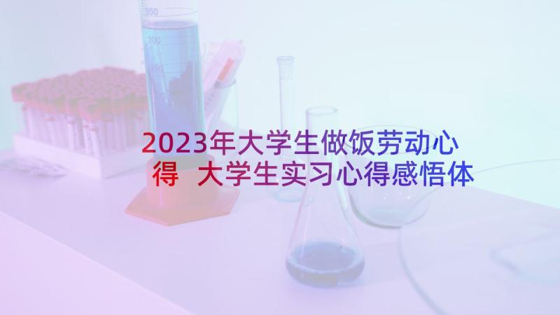 2023年大学生做饭劳动心得 大学生实习心得感悟体会(大全7篇)