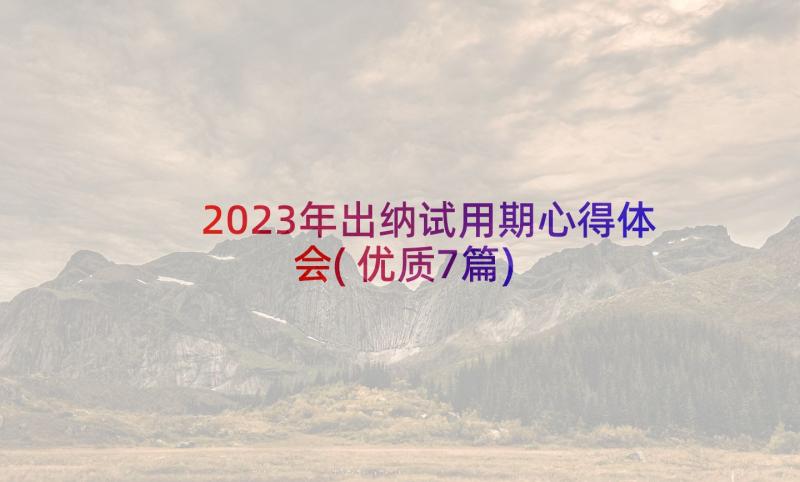 2023年出纳试用期心得体会(优质7篇)