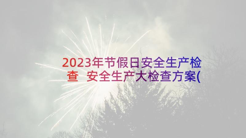 2023年节假日安全生产检查 安全生产大检查方案(模板8篇)