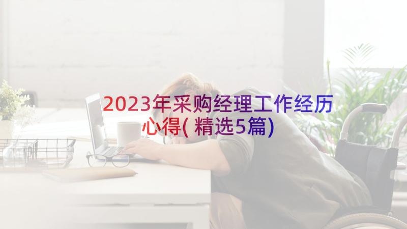 2023年采购经理工作经历心得(精选5篇)