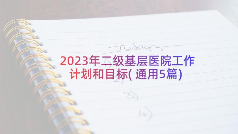 2023年二级基层医院工作计划和目标(通用5篇)