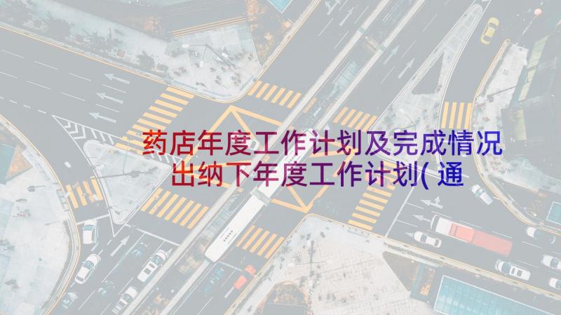 药店年度工作计划及完成情况 出纳下年度工作计划(通用9篇)