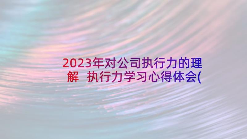 2023年对公司执行力的理解 执行力学习心得体会(优秀5篇)