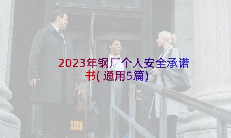 2023年钢厂个人安全承诺书(通用5篇)