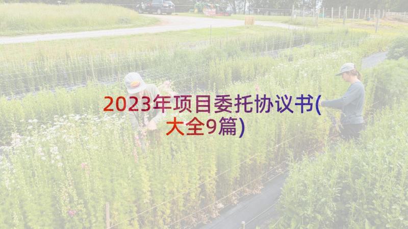 2023年项目委托协议书(大全9篇)