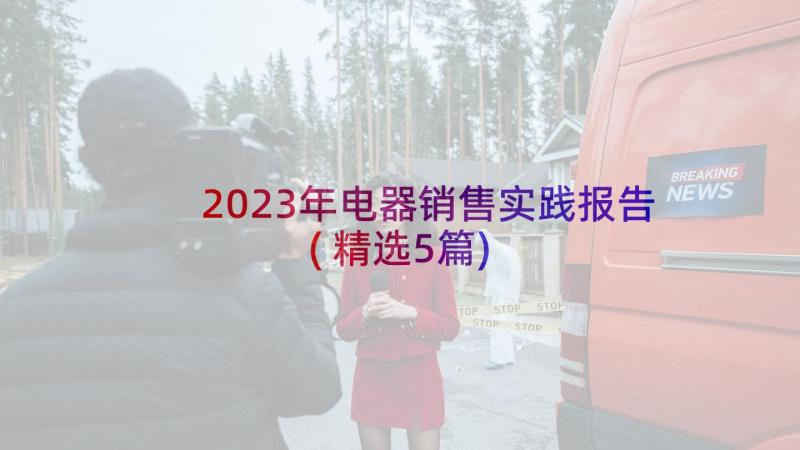 2023年电器销售实践报告(精选5篇)