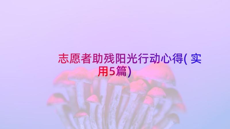 志愿者助残阳光行动心得(实用5篇)