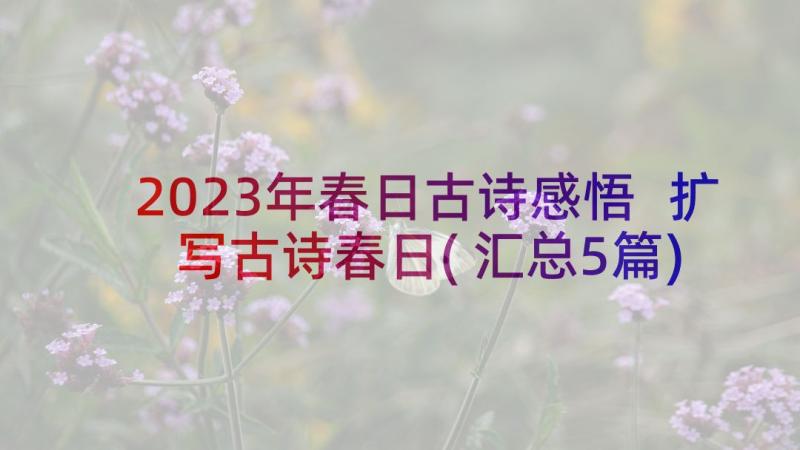 2023年春日古诗感悟 扩写古诗春日(汇总5篇)