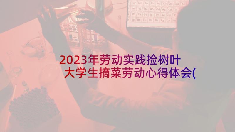 2023年劳动实践捡树叶 大学生摘菜劳动心得体会(精选8篇)