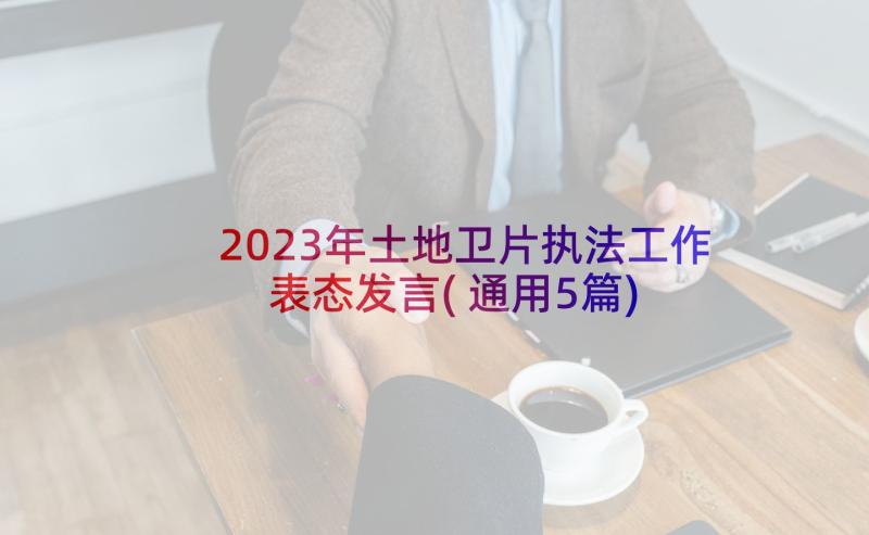 2023年土地卫片执法工作表态发言(通用5篇)