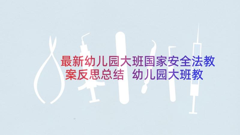 最新幼儿园大班国家安全法教案反思总结 幼儿园大班教案含反思(大全6篇)