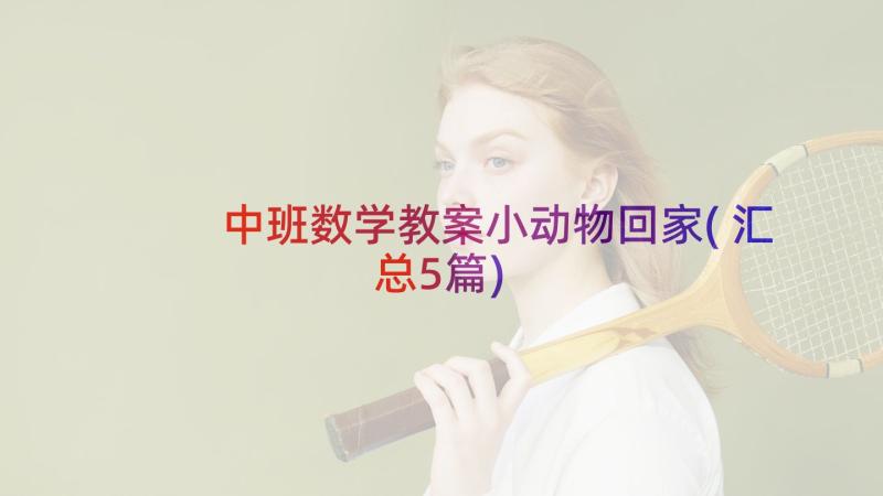 中班数学教案小动物回家(汇总5篇)