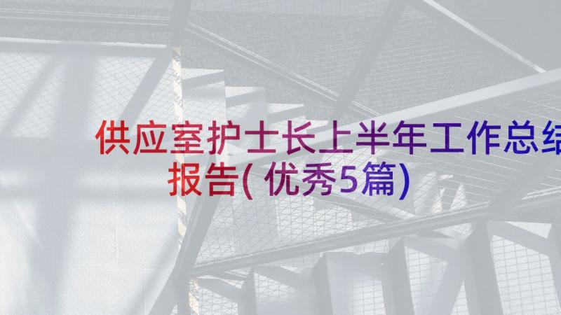 供应室护士长上半年工作总结报告(优秀5篇)