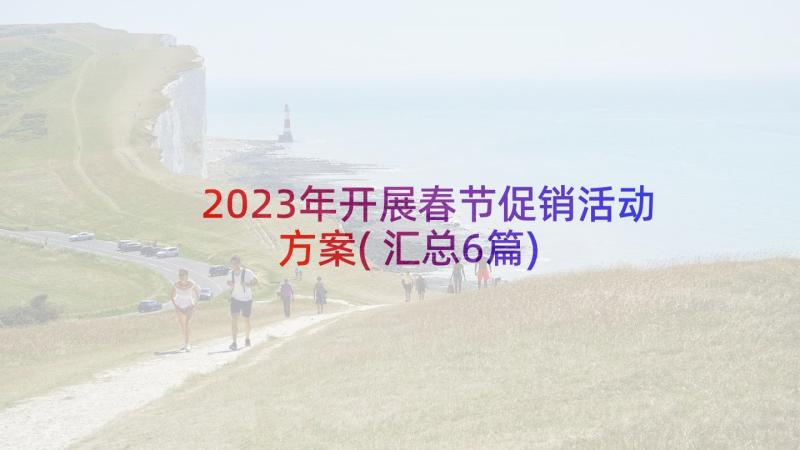 2023年开展春节促销活动方案(汇总6篇)