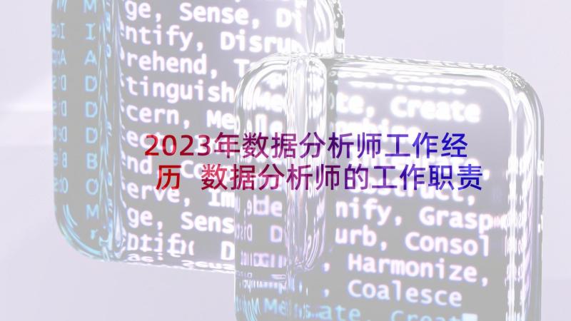 2023年数据分析师工作经历 数据分析师的工作职责(精选8篇)