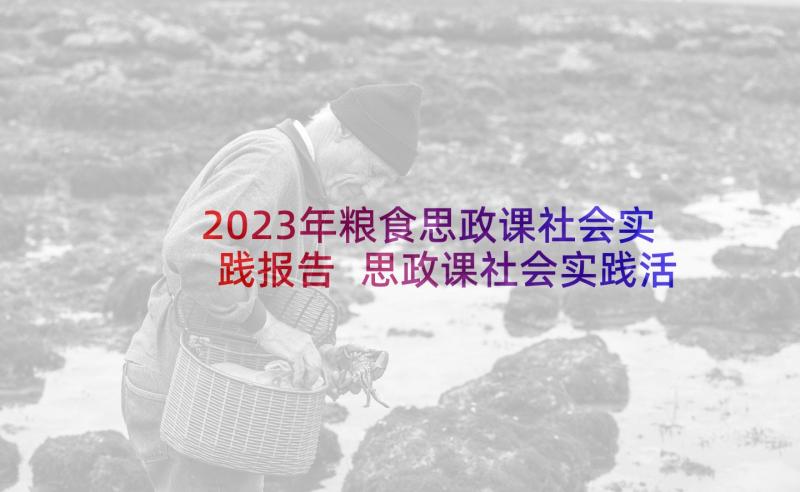 2023年粮食思政课社会实践报告 思政课社会实践活动报告(大全5篇)