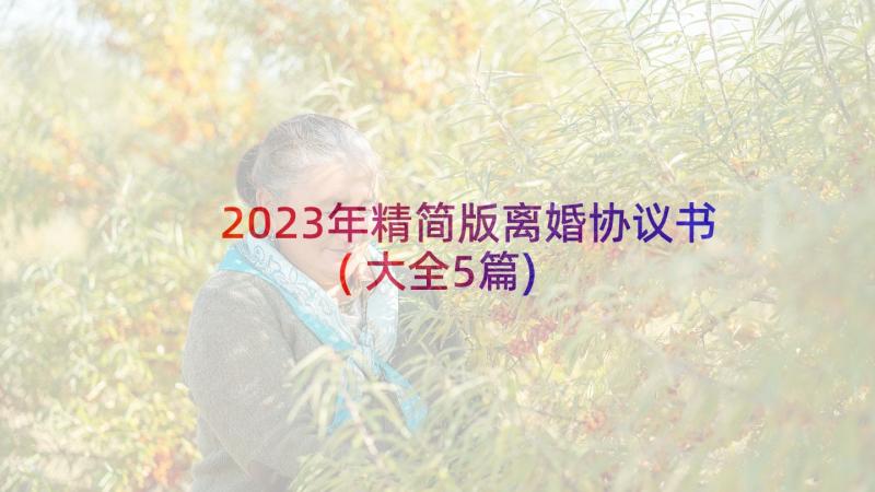 2023年精简版离婚协议书(大全5篇)