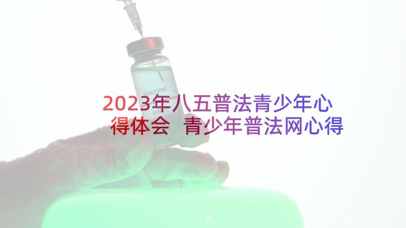 2023年八五普法青少年心得体会 青少年普法网心得体会(模板5篇)