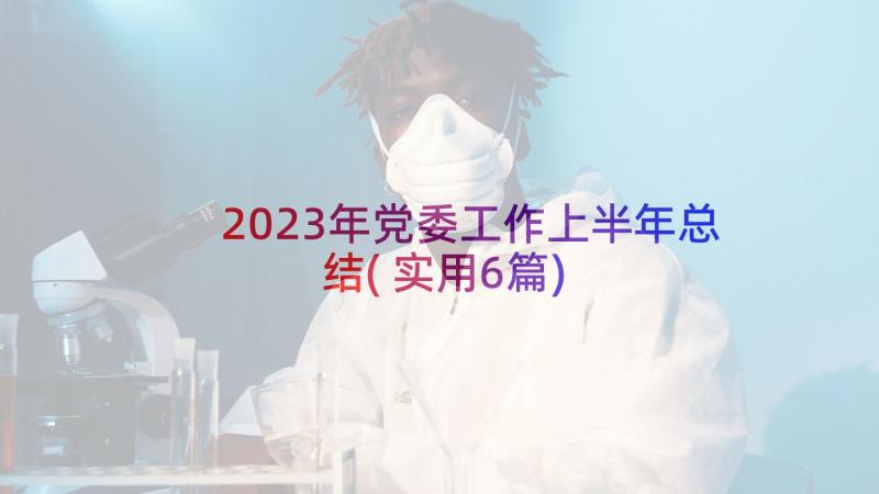 2023年党委工作上半年总结(实用6篇)