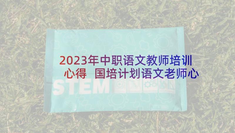 2023年中职语文教师培训心得 国培计划语文老师心得体会(实用10篇)