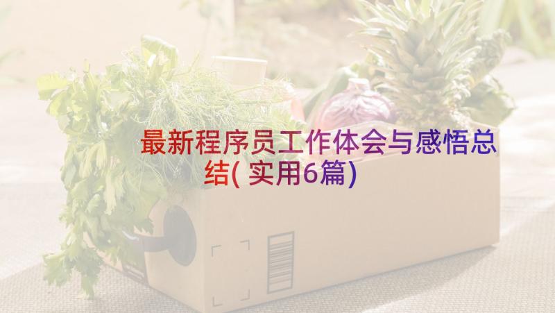 最新程序员工作体会与感悟总结(实用6篇)