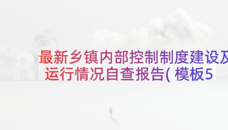 最新乡镇内部控制制度建设及运行情况自查报告(模板5篇)