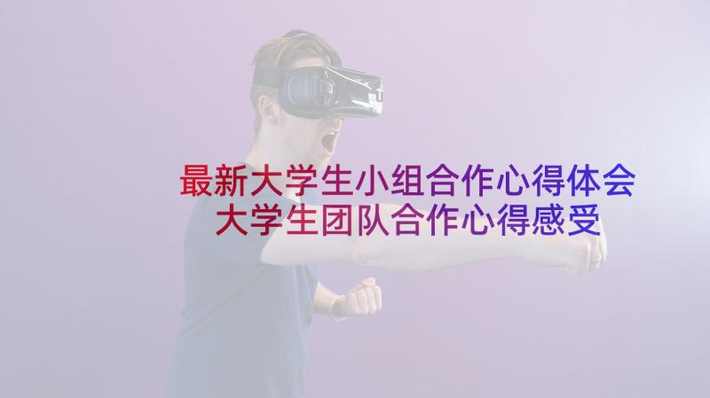 最新大学生小组合作心得体会 大学生团队合作心得感受(精选5篇)