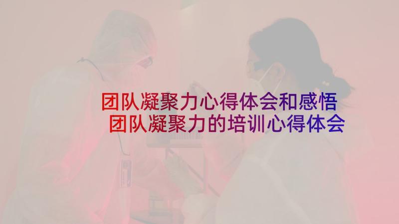 团队凝聚力心得体会和感悟 团队凝聚力的培训心得体会(优质6篇)