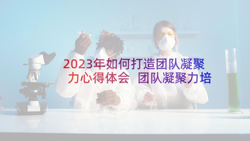 2023年如何打造团队凝聚力心得体会 团队凝聚力培训心得体会(优质8篇)