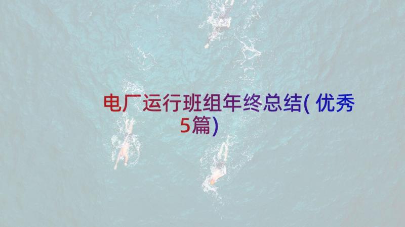 电厂运行班组年终总结(优秀5篇)