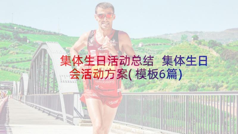 集体生日活动总结 集体生日会活动方案(模板6篇)