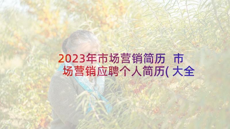 2023年市场营销简历 市场营销应聘个人简历(大全6篇)