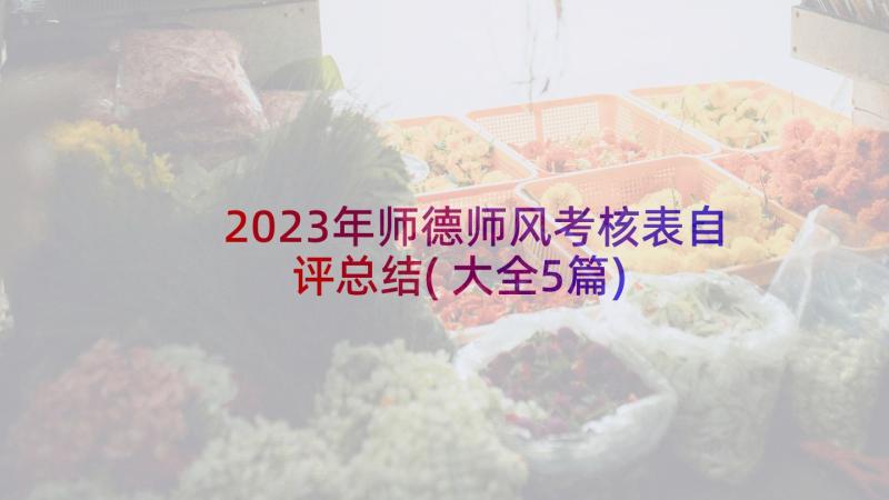 2023年师德师风考核表自评总结(大全5篇)