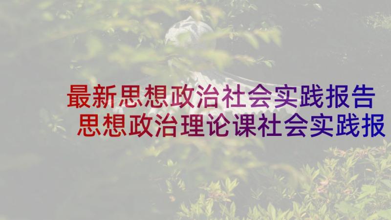 最新思想政治社会实践报告 思想政治理论课社会实践报告(汇总5篇)