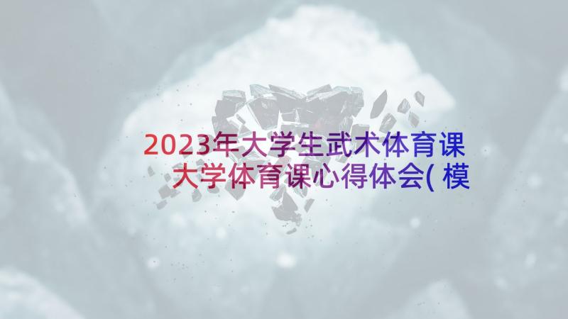 2023年大学生武术体育课 大学体育课心得体会(模板7篇)