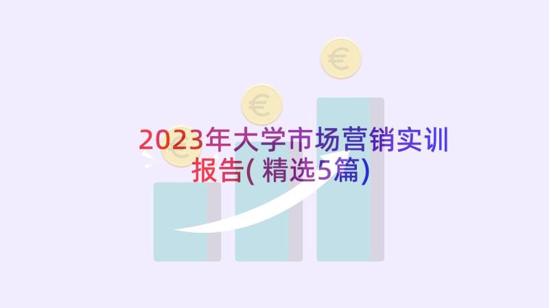 2023年大学市场营销实训报告(精选5篇)