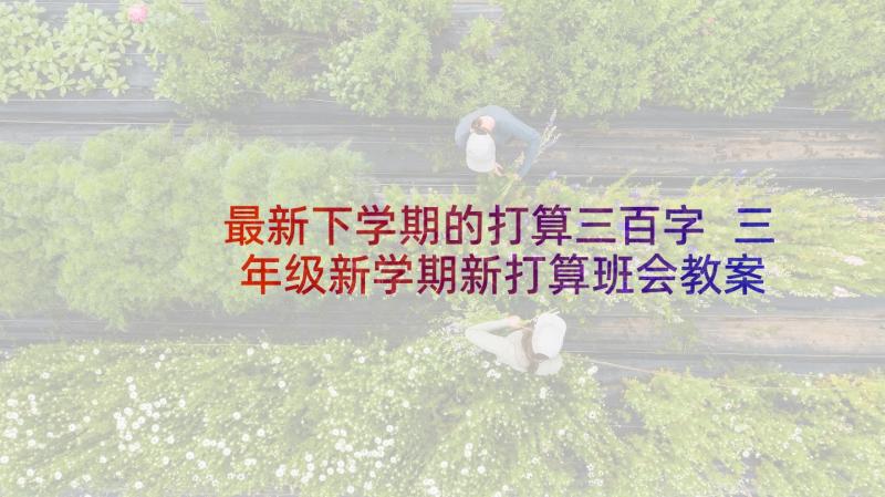 最新下学期的打算三百字 三年级新学期新打算班会教案(大全9篇)