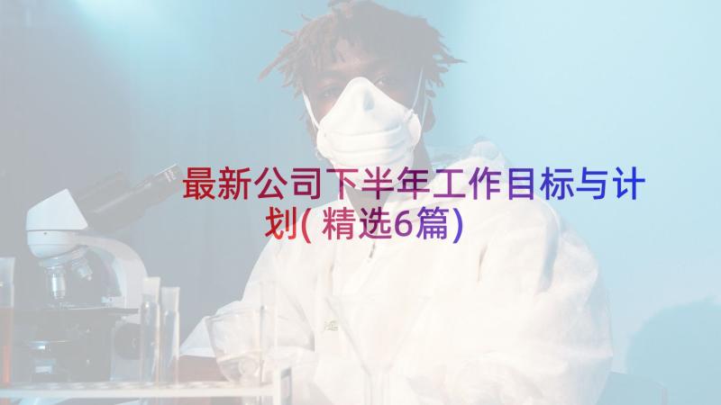 最新公司下半年工作目标与计划(精选6篇)