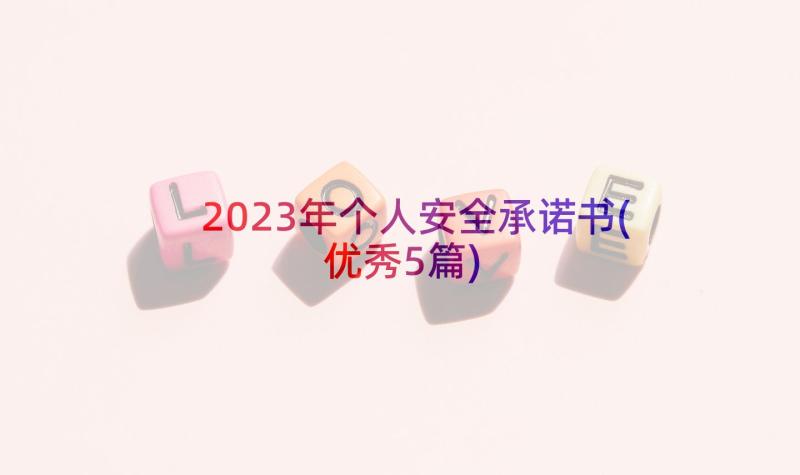 2023年个人安全承诺书(优秀5篇)