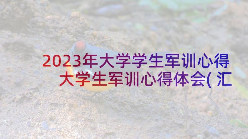 2023年大学学生军训心得 大学生军训心得体会(汇总9篇)