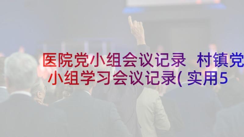 医院党小组会议记录 村镇党小组学习会议记录(实用5篇)