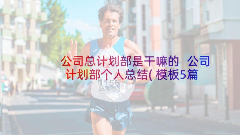 公司总计划部是干嘛的 公司计划部个人总结(模板5篇)