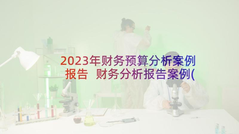 2023年财务预算分析案例报告 财务分析报告案例(优质5篇)