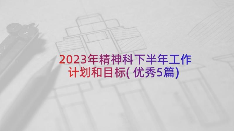 2023年精神科下半年工作计划和目标(优秀5篇)