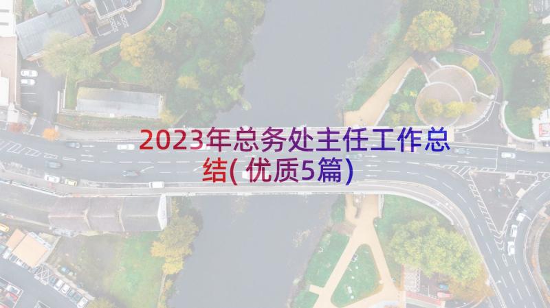 2023年总务处主任工作总结(优质5篇)