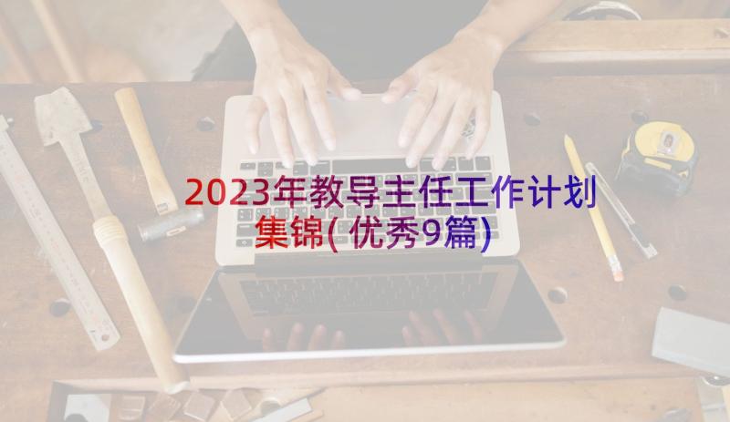 2023年教导主任工作计划集锦(优秀9篇)